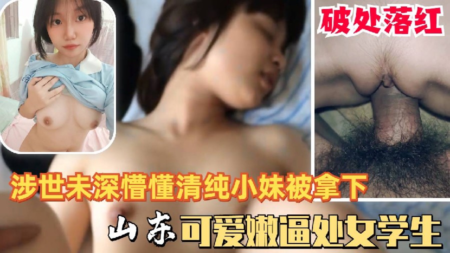 可爱懵懂清纯山东高中少女学生处女被拿下落红被猪拱的白菜}