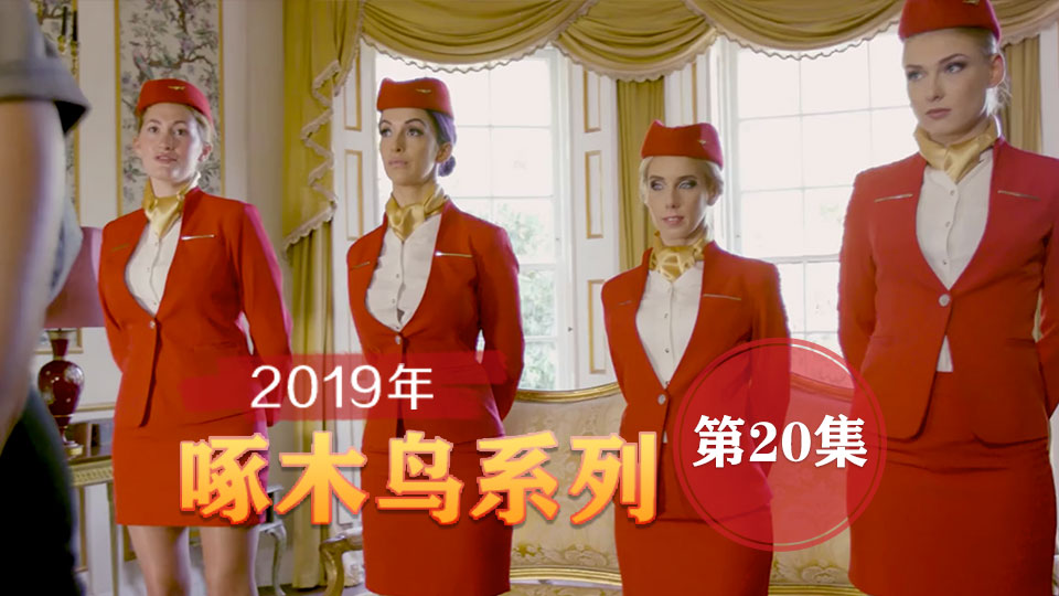 崇洋媚外極品身材美模 啄木鸟19年系列-第20集}