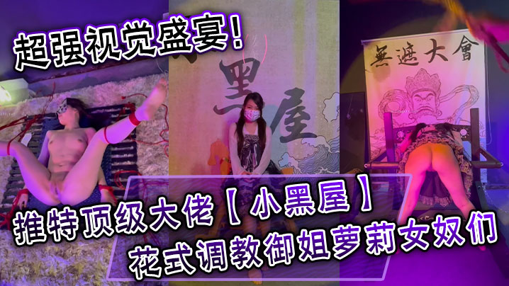 超强视觉盛宴！推特顶级大佬【小黑屋】订阅最全完整视图集，花式调教御姐萝莉女奴们}