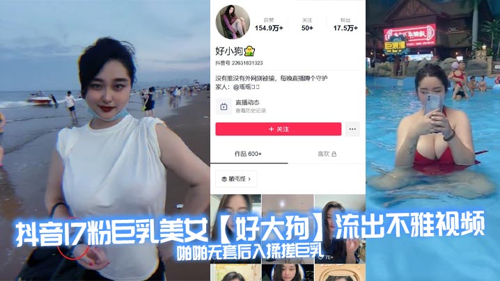 抖音17粉巨乳美女【好大狗】流出不雅视频，啪啪无套后入揉搓巨乳，这波涛汹涌看着就很窒息，能直接把你闷死！}