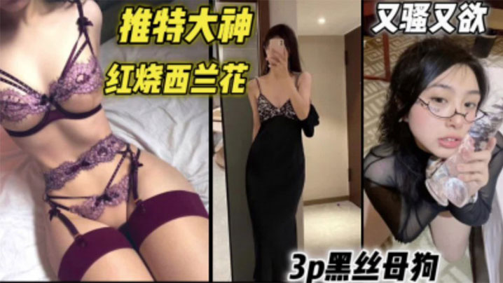 推特大神【红烧西兰花】约炮个个高颜值美女群p合集}