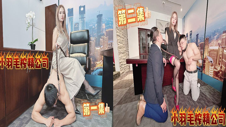 小羽毛榨精公司 能不能走出去就看你的本事了}