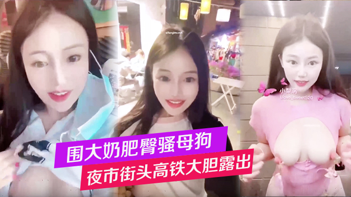 围大奶肥臀骚母狗夜市街头高铁大胆露出性爱调教}