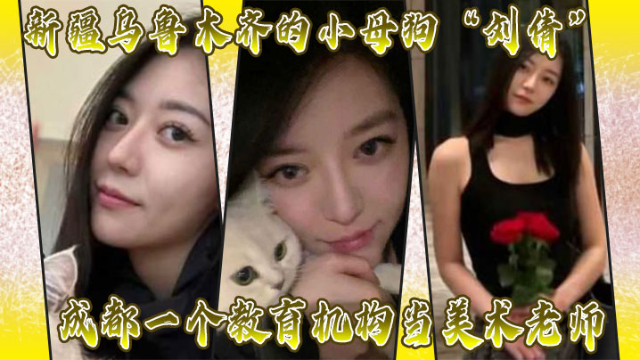 新疆乌鲁木齐的小母狗“刘倩”成都一个教育机构当美术老师}