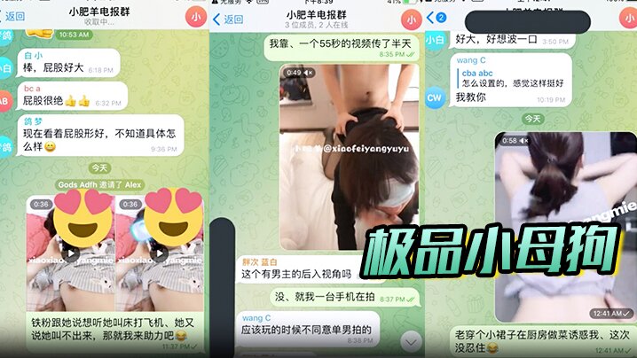 极品小母狗，绿帽骚妻【是小肥羊呀】私拍，约炮单男3P前后夹击，高潮插到痉挛}