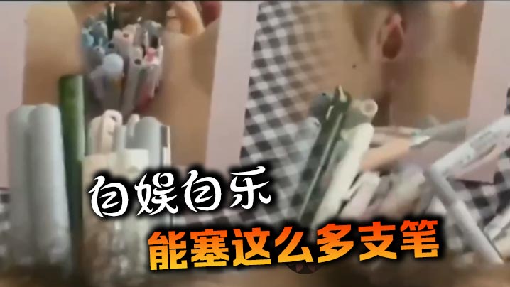 自娱自乐，能塞这么多支笔}