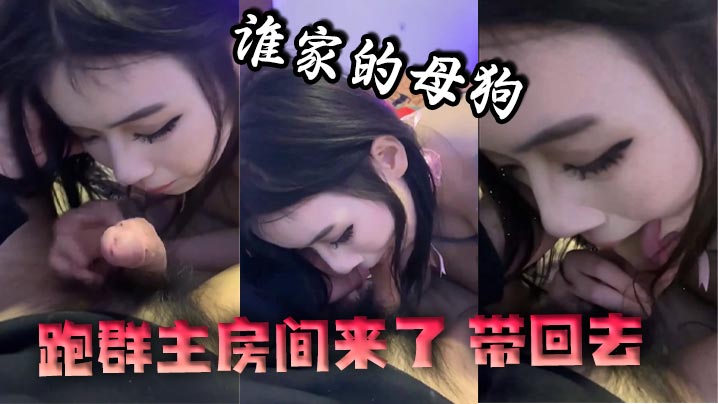 谁家的母狗跑群主房间来了 带回去}